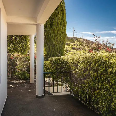 New Portola House By Ymr *