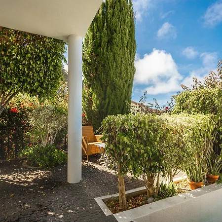 New Portola House By Ymr *